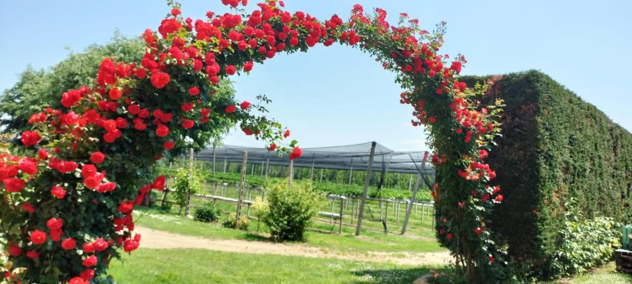 Agriturismo Fondo Novelle La Casina Феррара Экстерьер фото